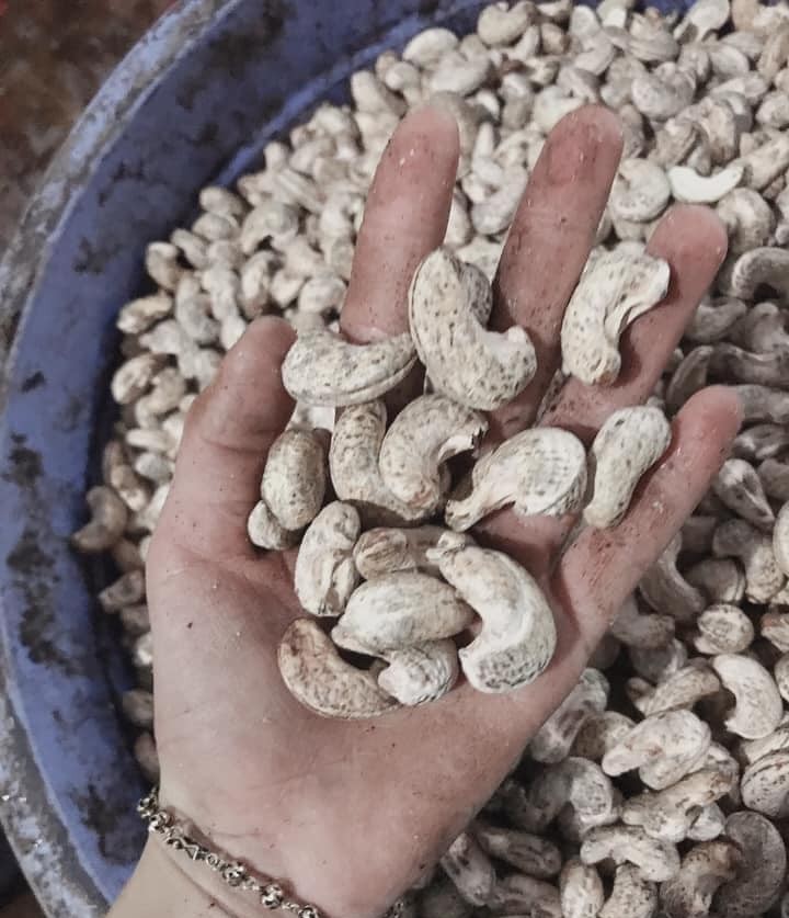 Hạt điều rang muối Bình Phước